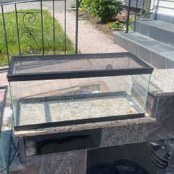 Reptile Tank