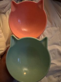 New cat bold