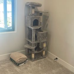 Cat Climber