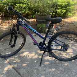 Specialized 24” Aluminum Sport Bike
