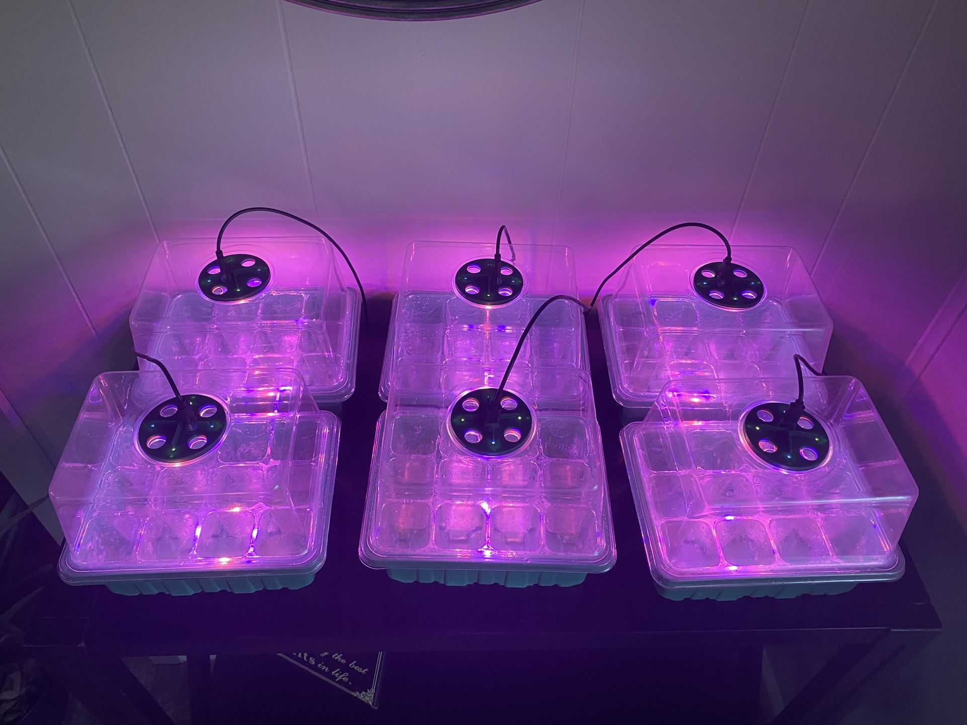 Seed Starter Trays with Grow Lights comes with 6 ,12 pod trays with Timing Controller and Adjustable Brightness and Humidity Domes