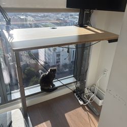 Electric Standing Desk, Best For Working At Home!