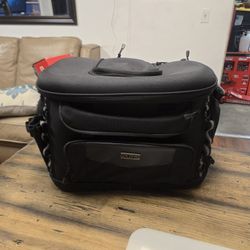 Harly Davison Dog Caring