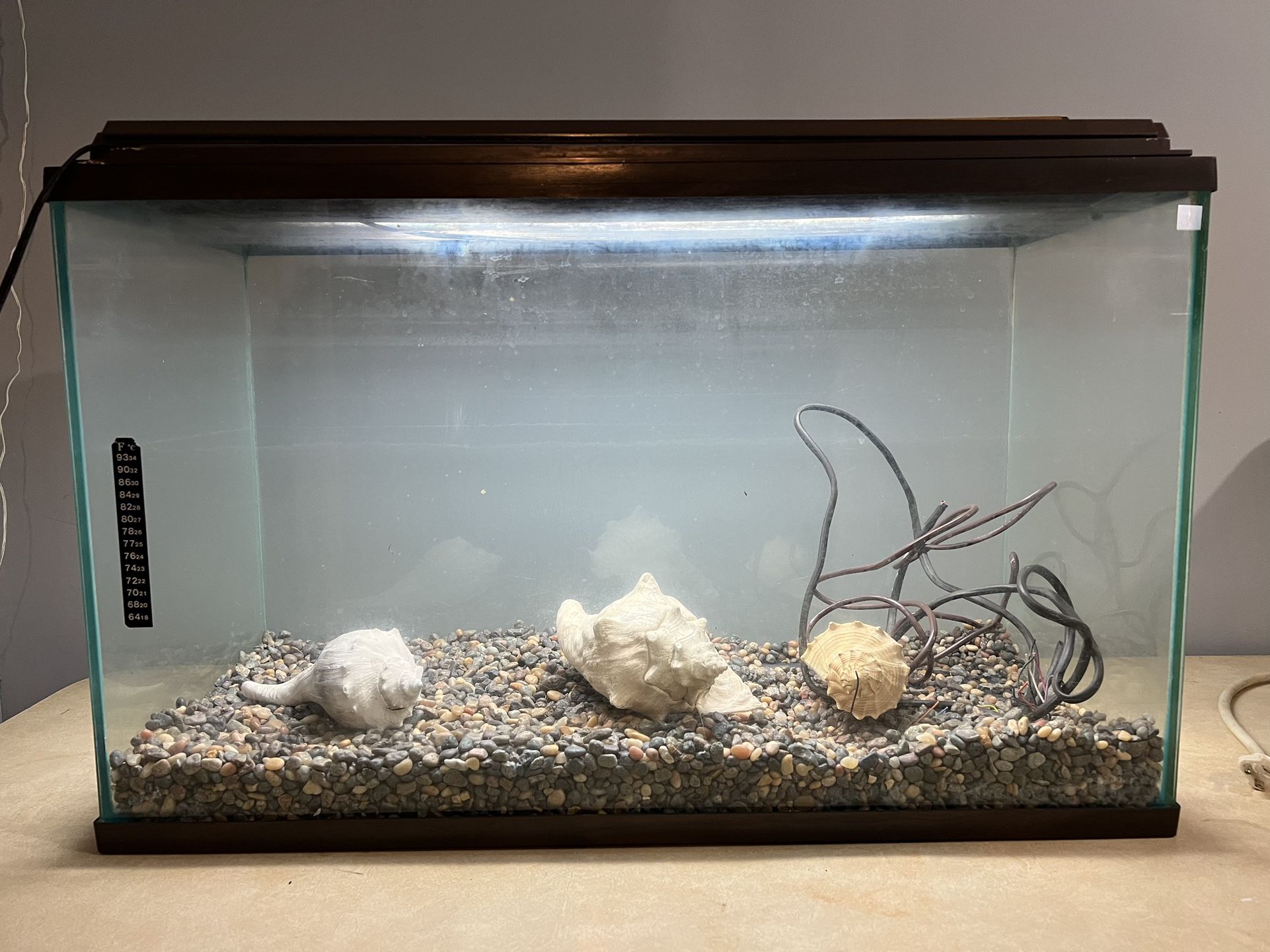 Fish Tank/Terrarium