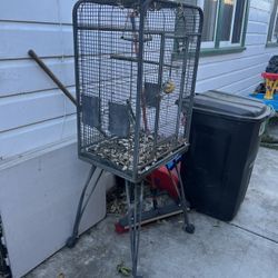 Bird Cage 