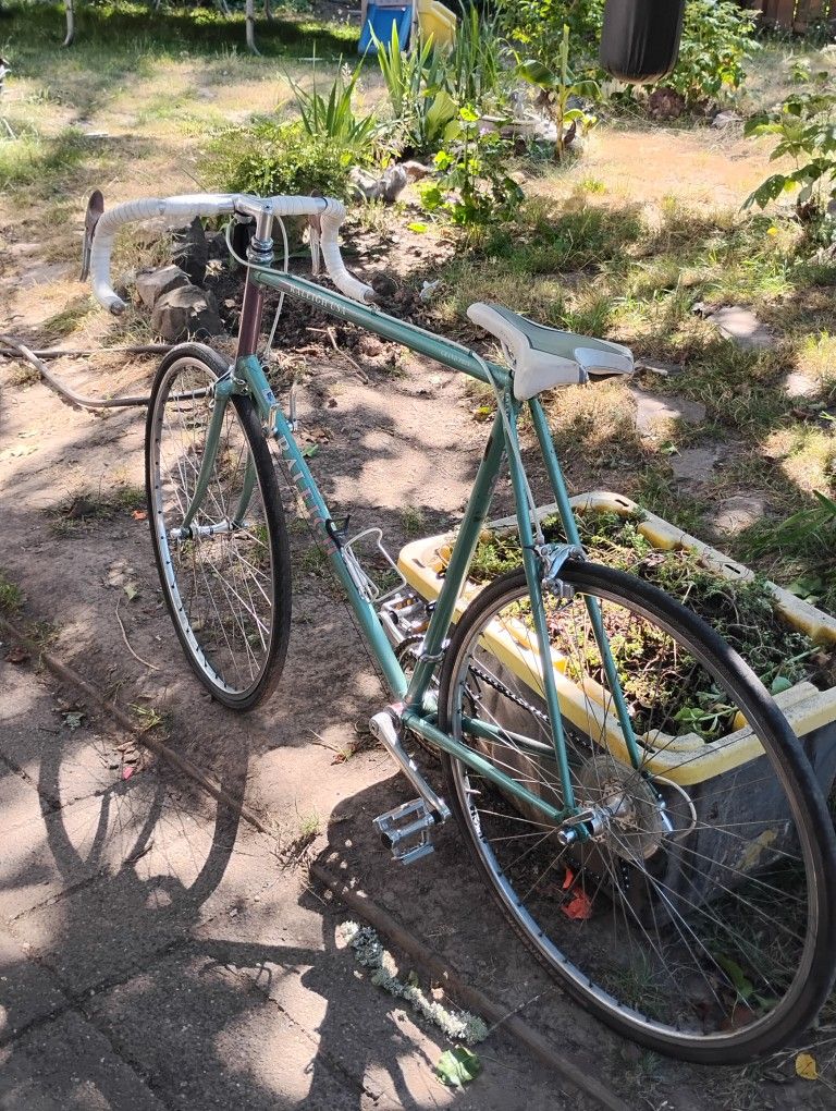 Vintage 1986 Raleigh Grand Prix ,Seafoam And Lilac