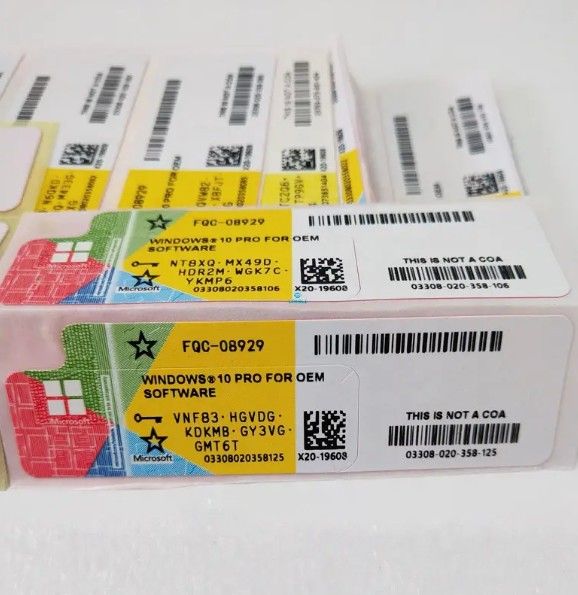 Win 10 Pro or Win 11 Pro License - plus Install Tool