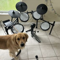 Alesis Drums Nitro Max 