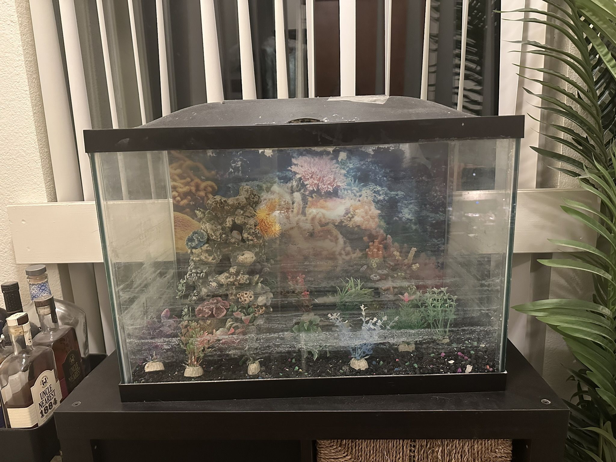 🐠 20-GALLON AQUARIUM SETUP – NEEDS A LITTLE TLC! 🧽