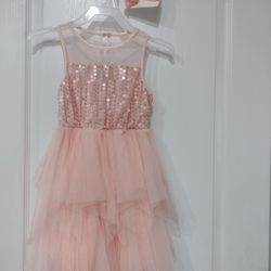 Peach Dress & Hair Clip 