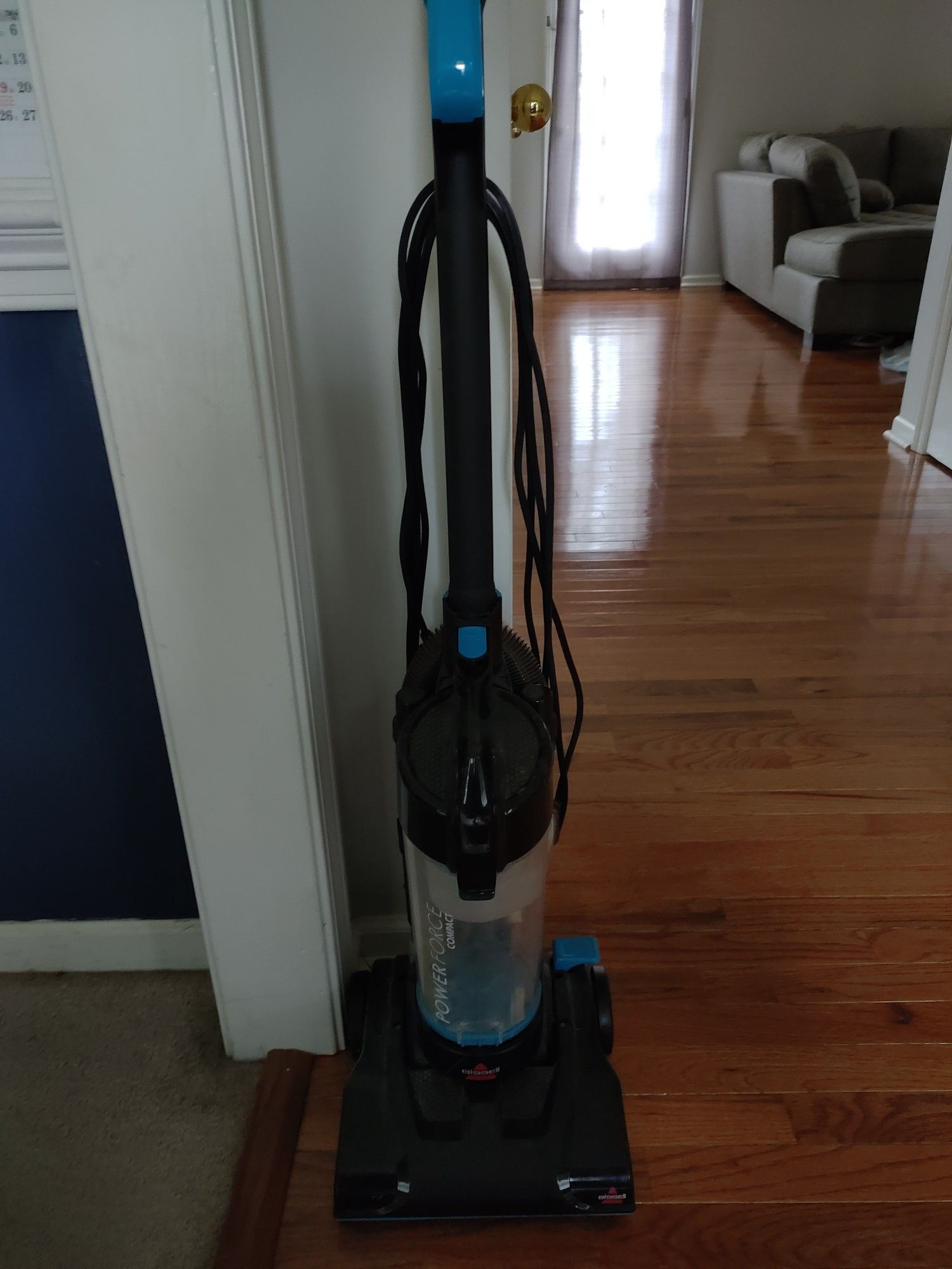 Bisell vacuum