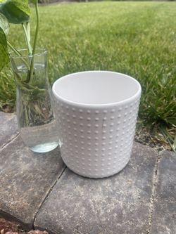 White Ceramic Pot For Plants
