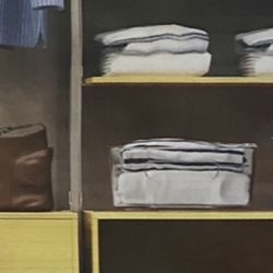 Closet Storage Bins - Set Of 4