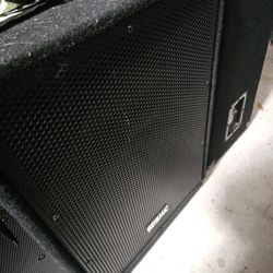 SEISMIC AUDIO FL 15 P PASSIVE SPEAKERS