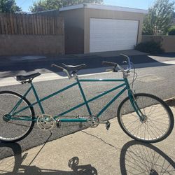 1969 Schwinn Male/Female Tandem Cruiser