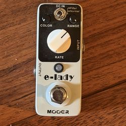 E-lady (electric mistress clone)