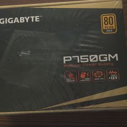 Gigabyte 750w Gold Fully Modular Psu - New Sealed