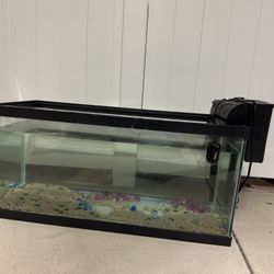 40 Gallon Fish / Aquarium With Aqueon 75 Filter!