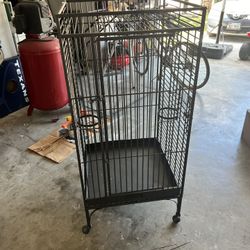 Bird Cage