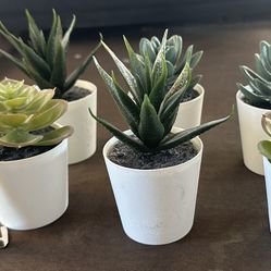 Plastic Plants Decor
