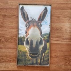 Wall Art Donkey Print