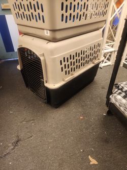 Large Dog Crate 2 Available