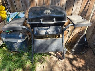 Cleaning out the yard