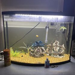 45 Gallon Fishtank 