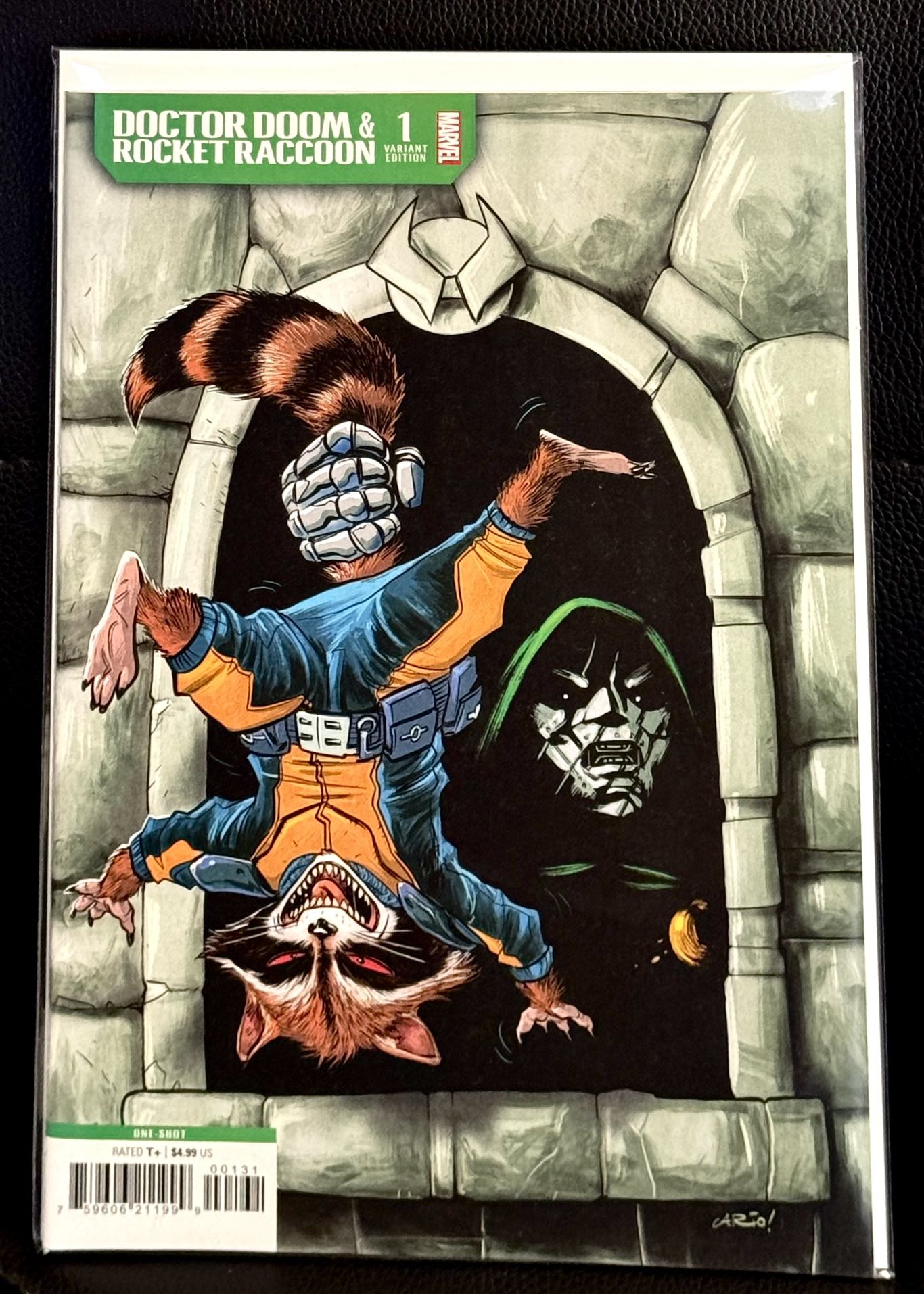 Doctor Doom & Rocket Raccoon #1 Anindito Windowshades Variant-NM