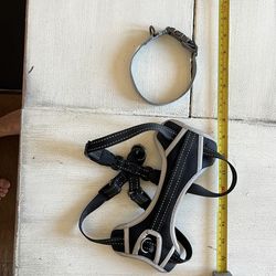 Free collar and harness