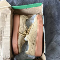 Puma creepers