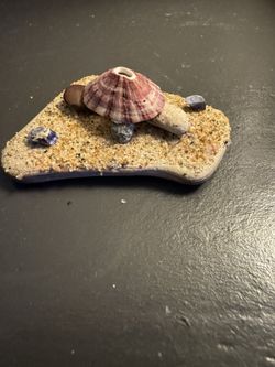 Handmade Beach Turtle Decoration!