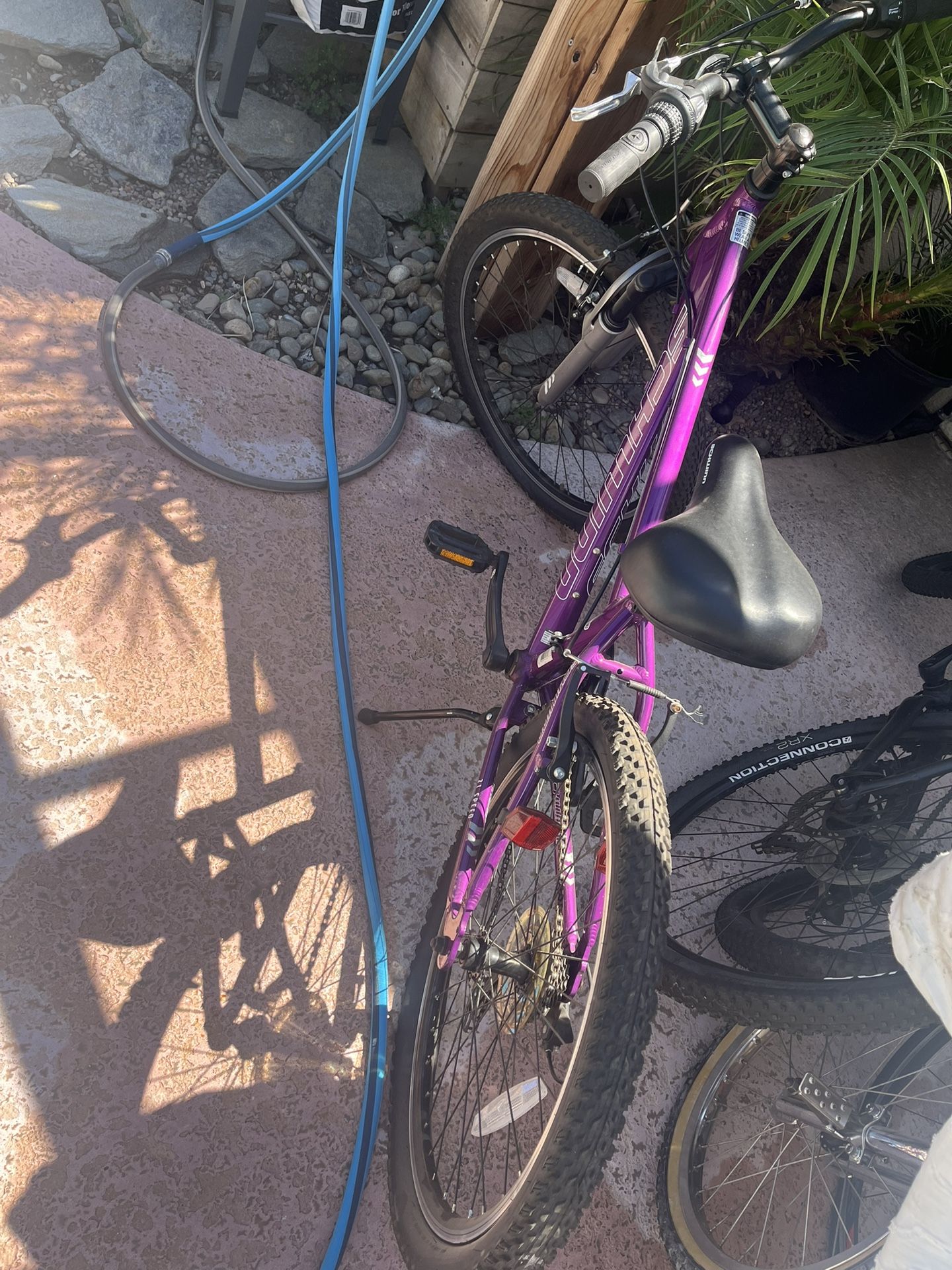 Mountain Bike Schwinn