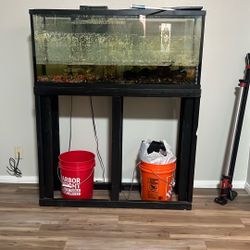 Free Fish Tank 47x21