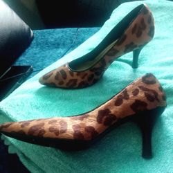 Women's Heels 