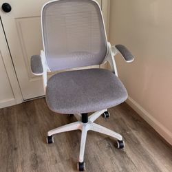 Lumbar Support Desk Chair ($20) OBO