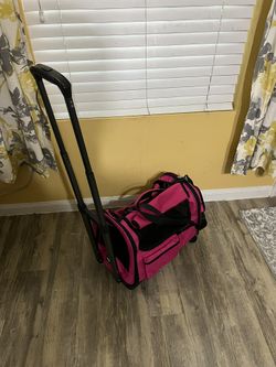 Paw Ballet Pet Carrier