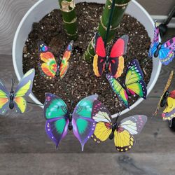 Cute Butterflies For Your Plants