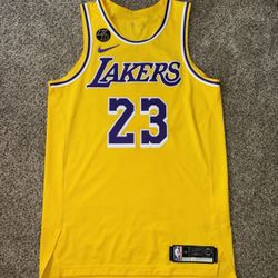 LeBron James Nike Authentic Icon Jersey (Kobe Bryant Patch) Size (44)