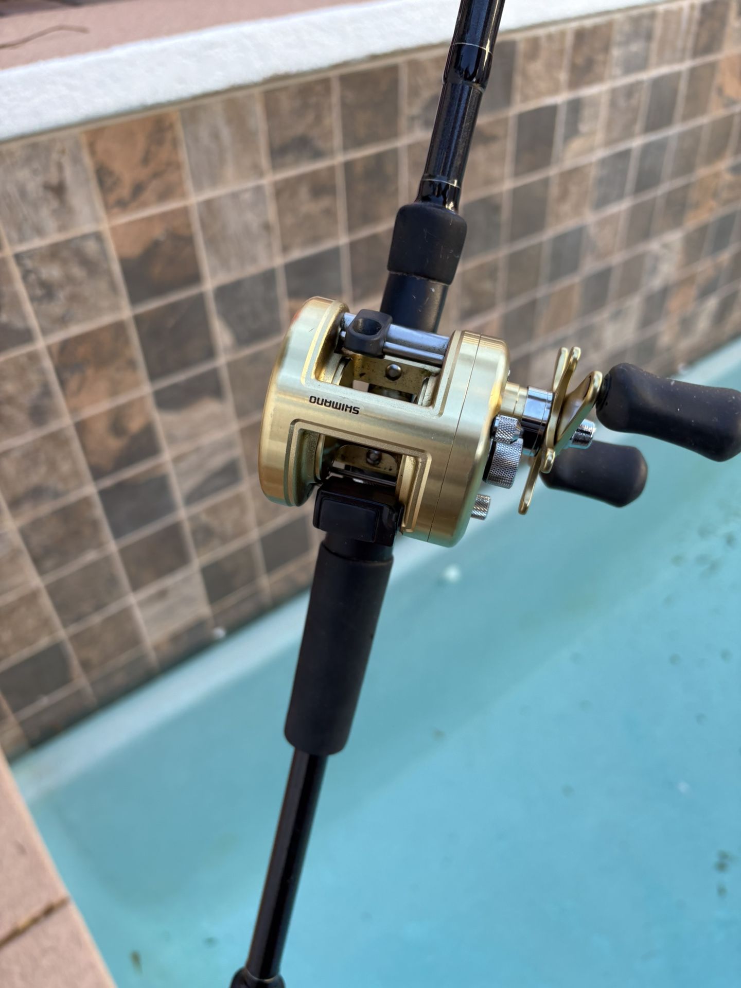 Pro Shimano Calcutta Reel Rod combo