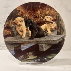 Jerry Gadamus “Sweet Dreams” Labrador Puppy Collection