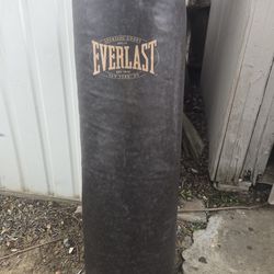 Everlast Heavy Duty 100 Pound Punching Bag