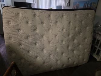 Free Queen mattress in very good condition.