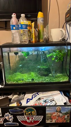 10 gal tank