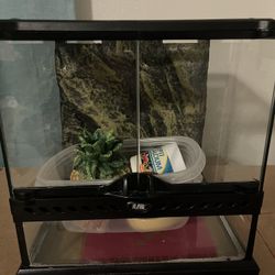 Reptile Enclosure 