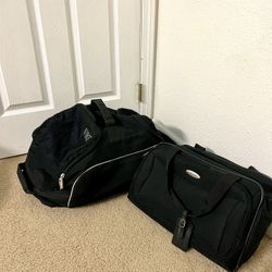 2 Bags (Samsonite + Nike )