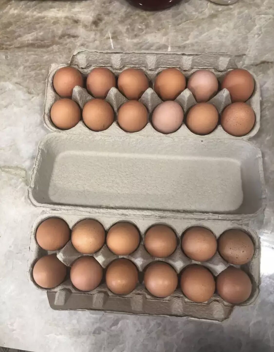 🥚🍳farm Fresh Eggs 🥚🍳