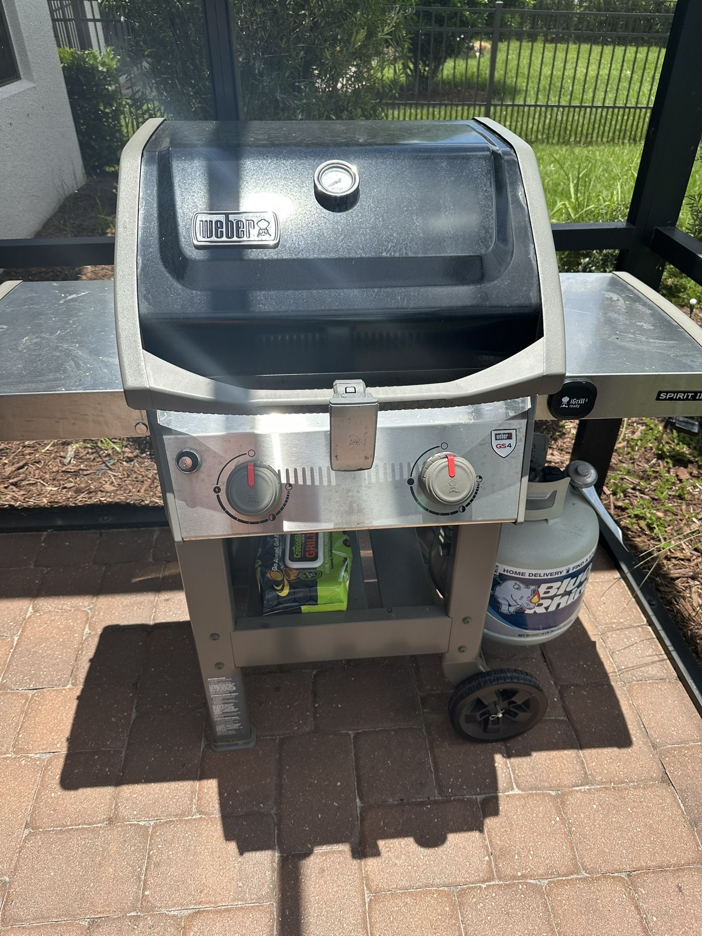 Weber Spirit II