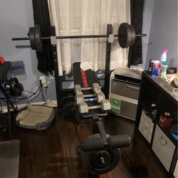 Full Weider Bench Press (Multiple Weight Pairs + Dumbell bars included)  