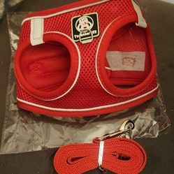 Harness